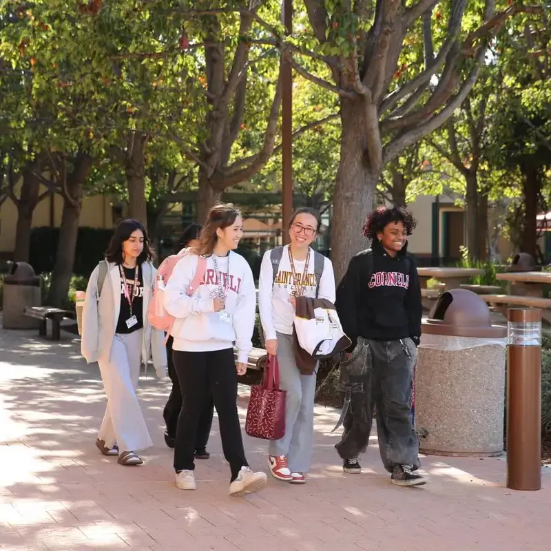 About Saint Francis