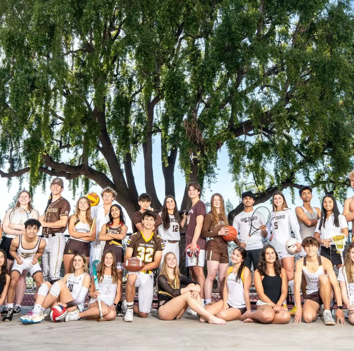 A single player from each sport is represented in a portrait of Saint Francis Athletics.