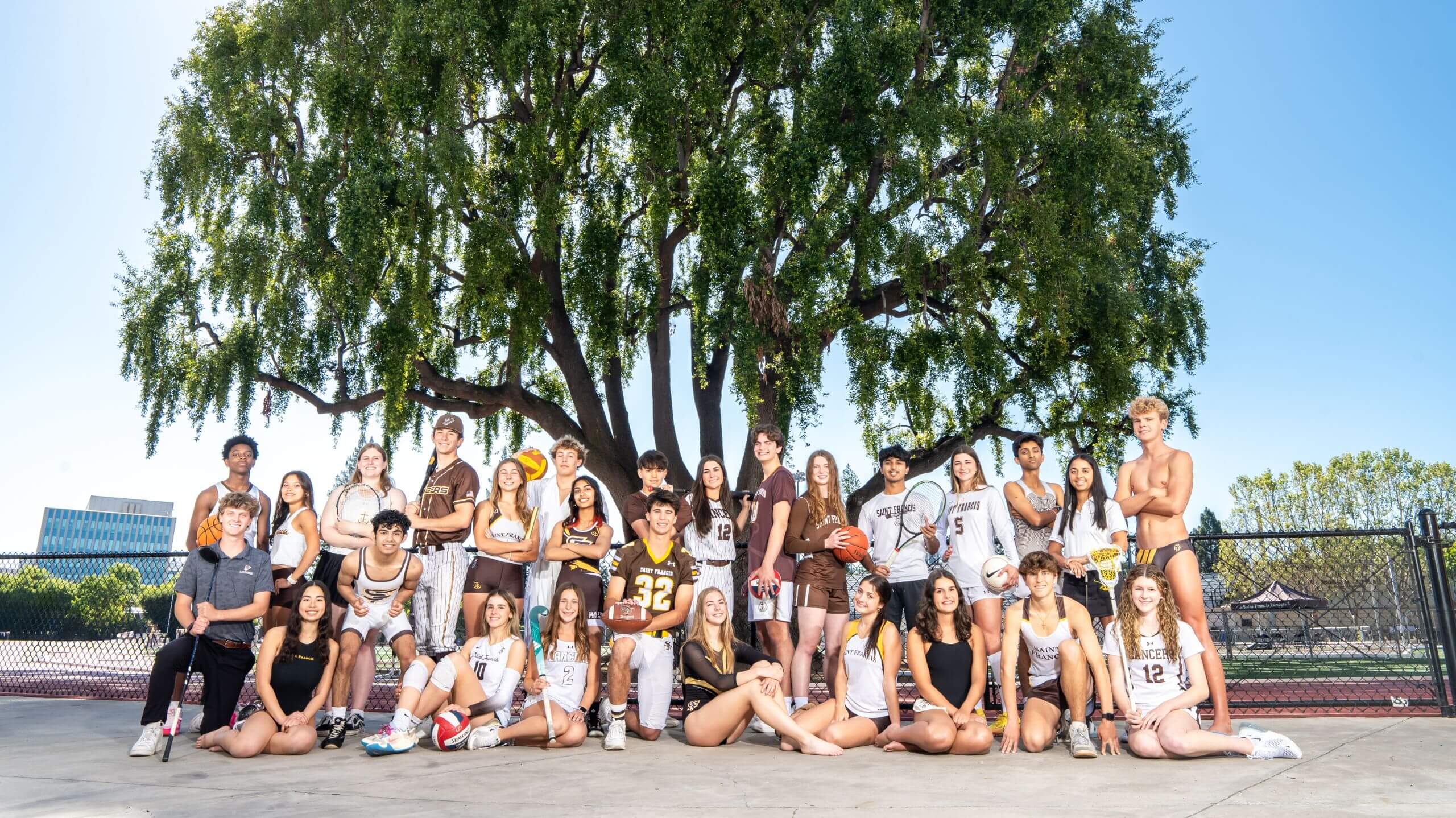 A single player from each sport is represented in a portrait of Saint Francis Athletics.