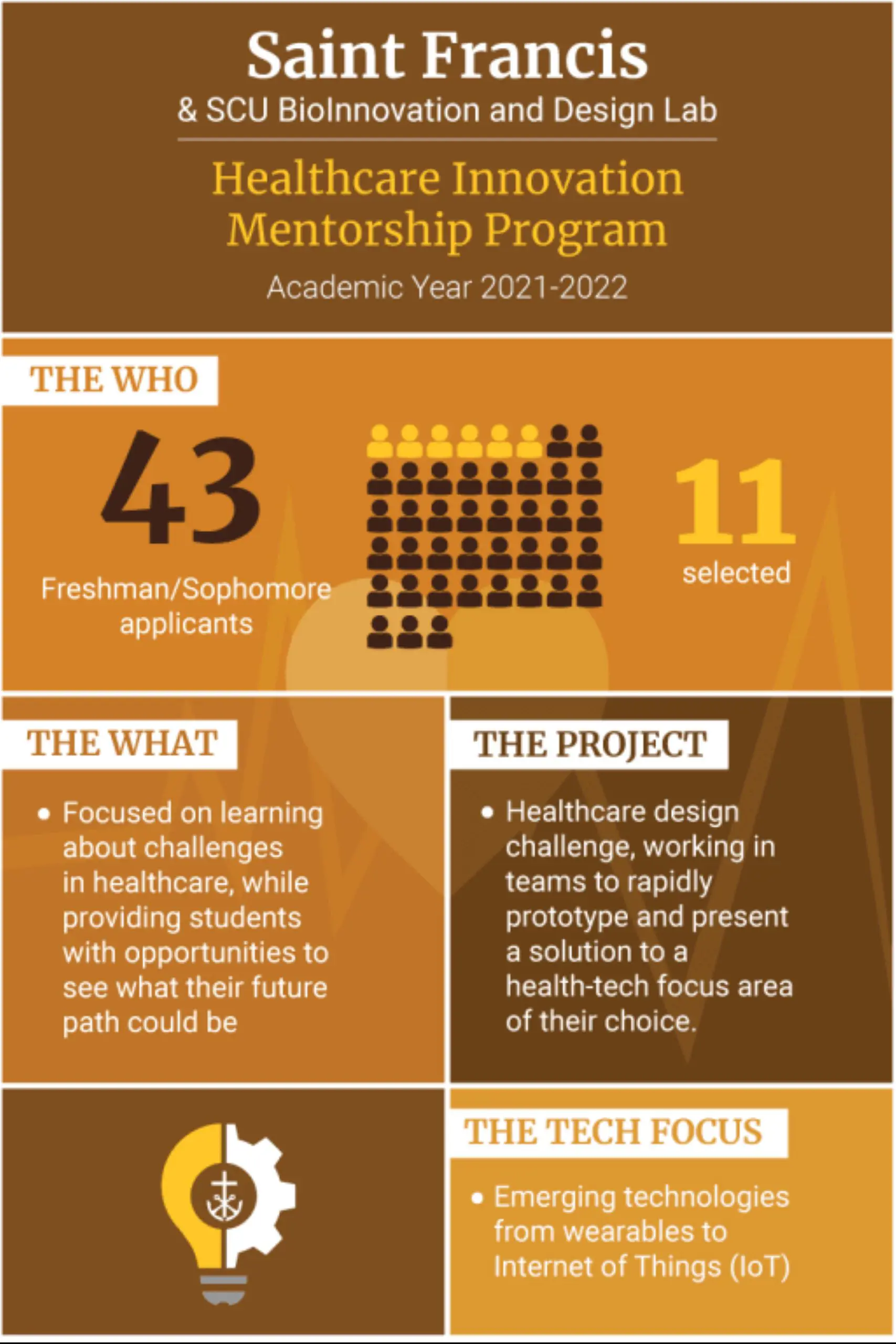Healthcare Innovation Mentorship Infographic