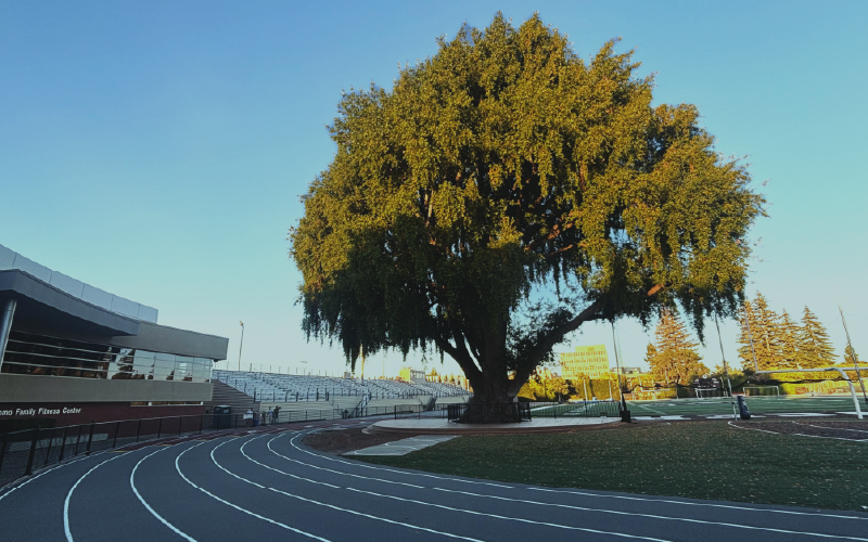 OriginalImage,Stewardship,Email,Mission Moments,IA,,Original