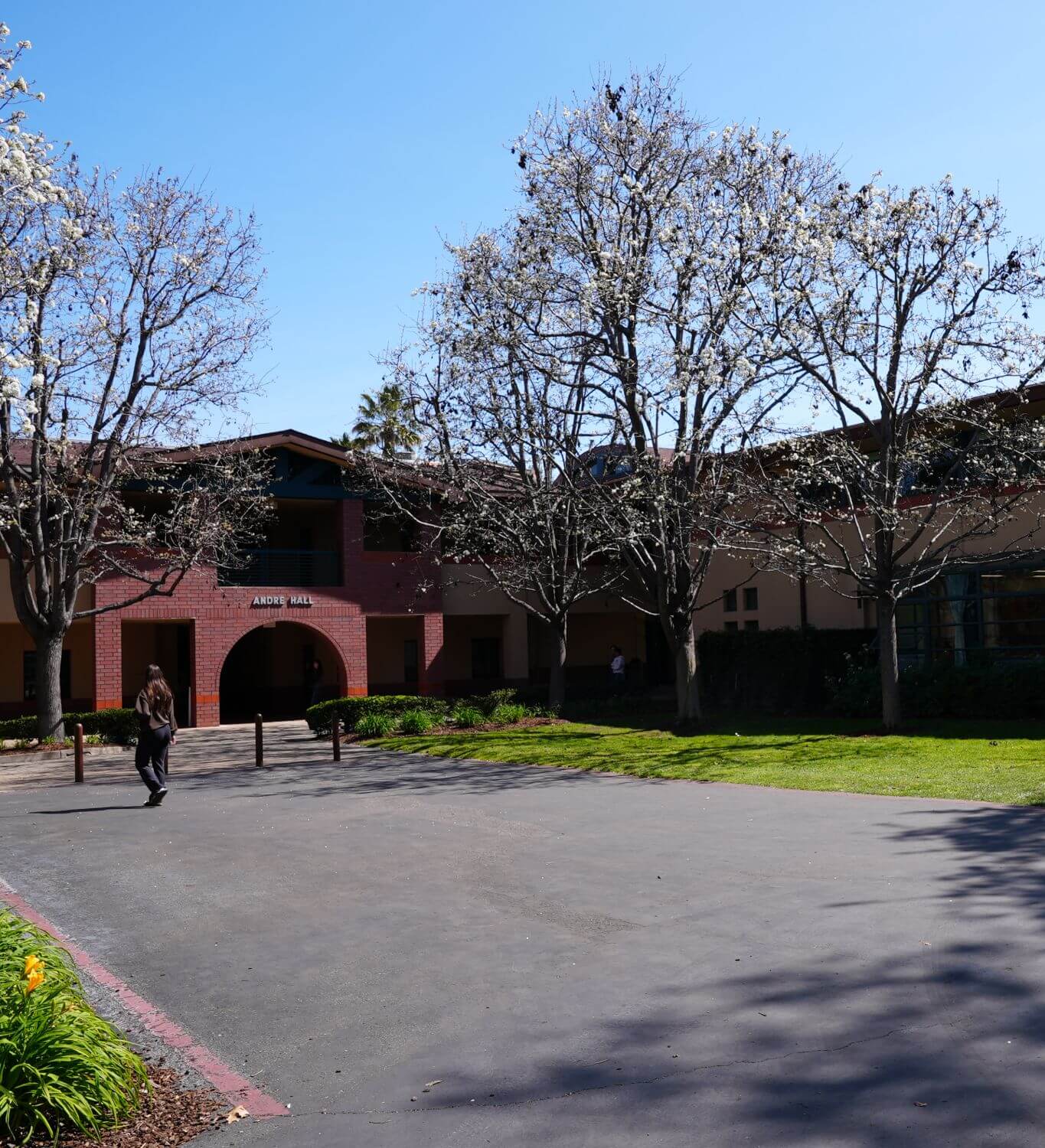 Alt Exterior of Higgins Hall from the vantage of the Andre House.