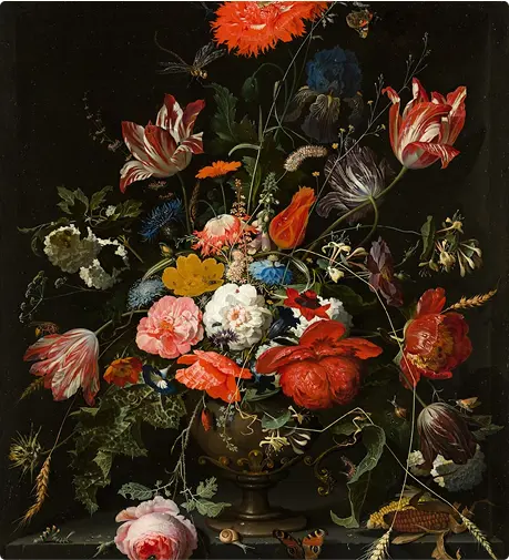 OptimizedImage,Optimized