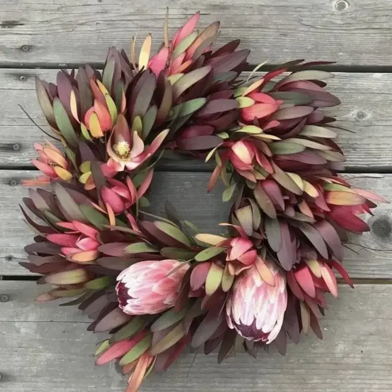 Page Image,holiday greenery,christmas with saint francis,cwsf