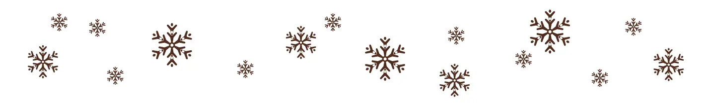 OptimizedImage,Christmas with saint francis,CWSF,Advancement,,Optimized