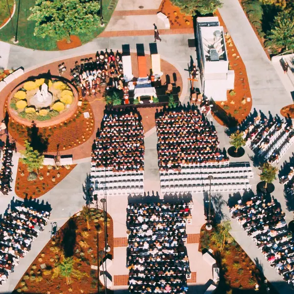  OptimizedImage,,,Optimized