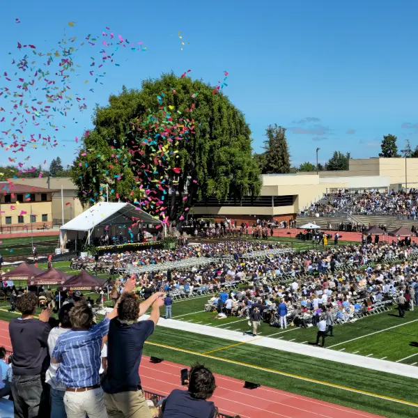  OptimizedImage,,,Optimized