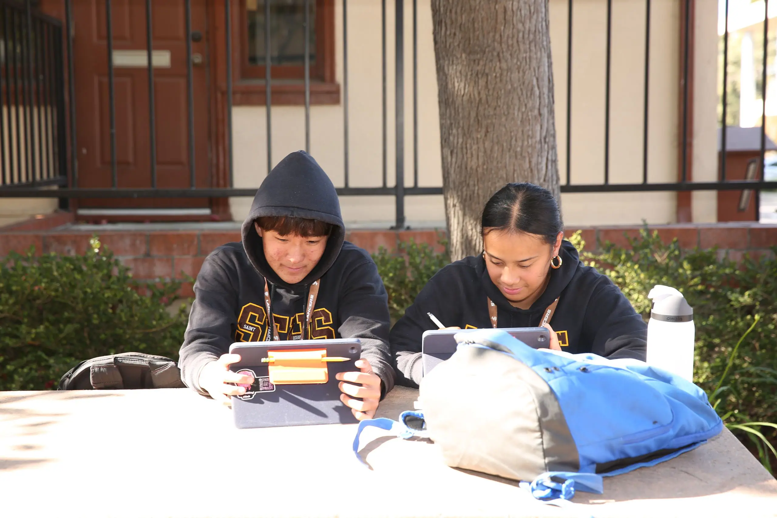  OptimizedImage,,,Optimized