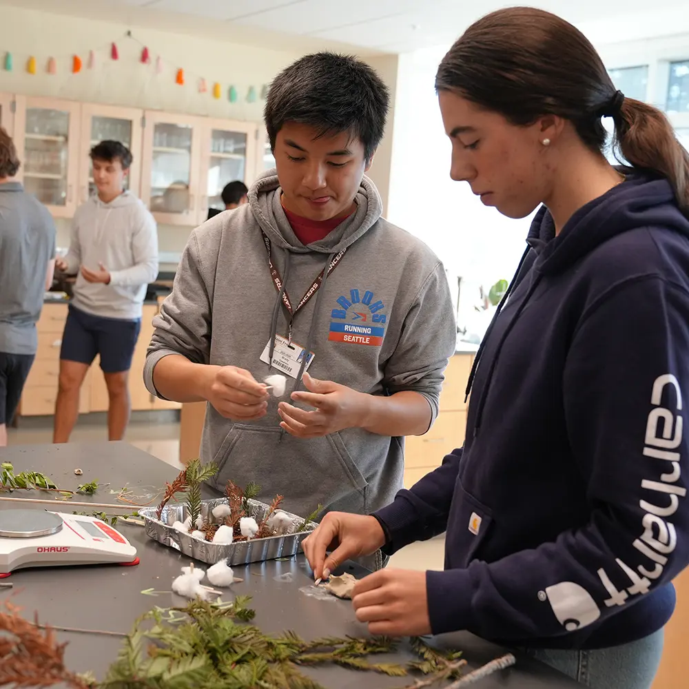 OptimizedImage,sustainability,,Optimized