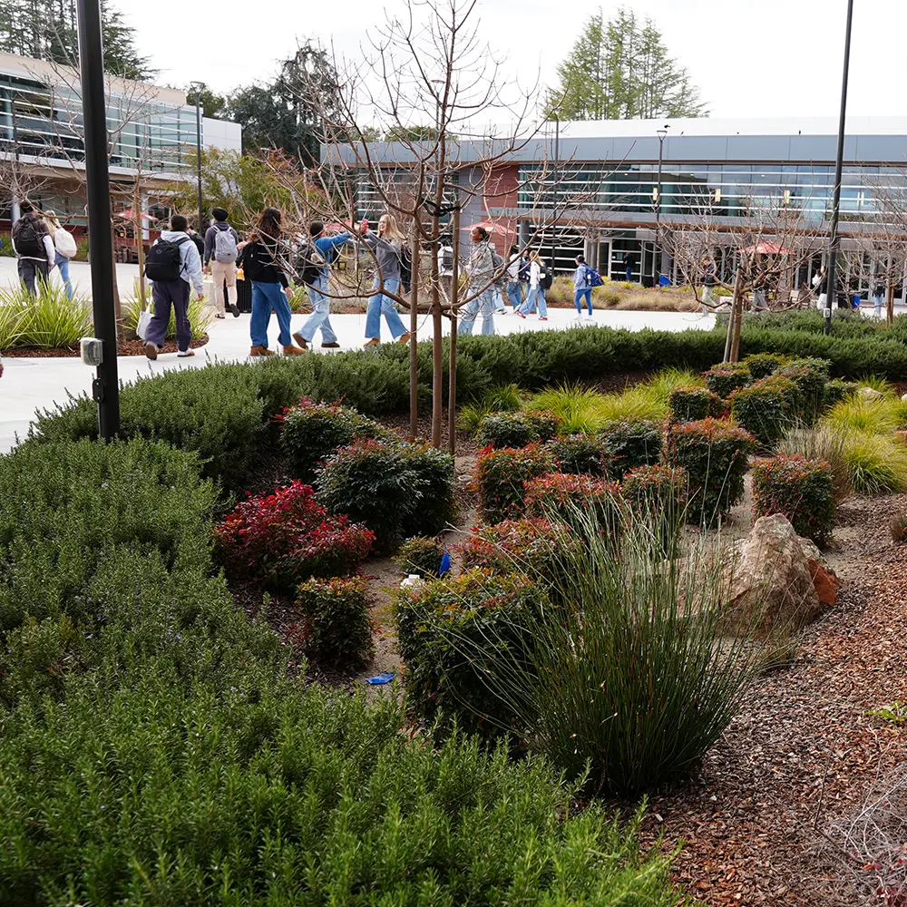  OptimizedImage,sustainability,,Optimized