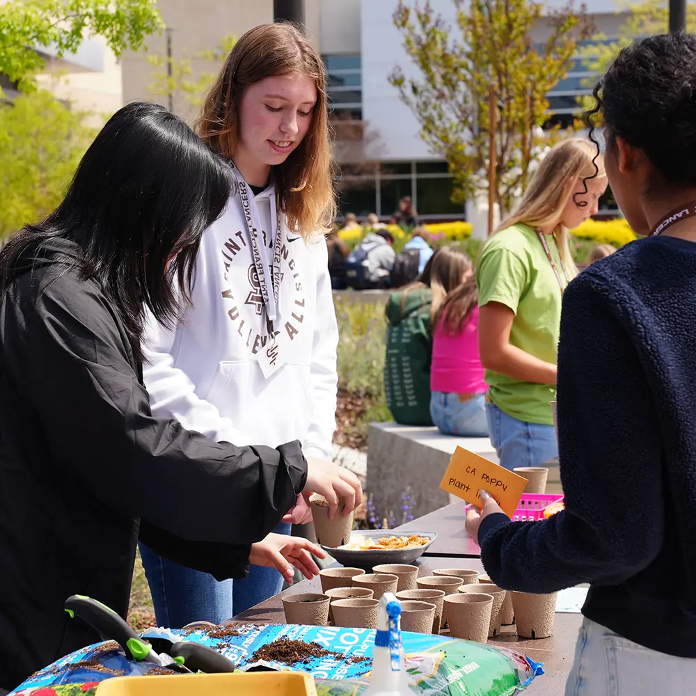  OptimizedImage,sustainability,,Optimized