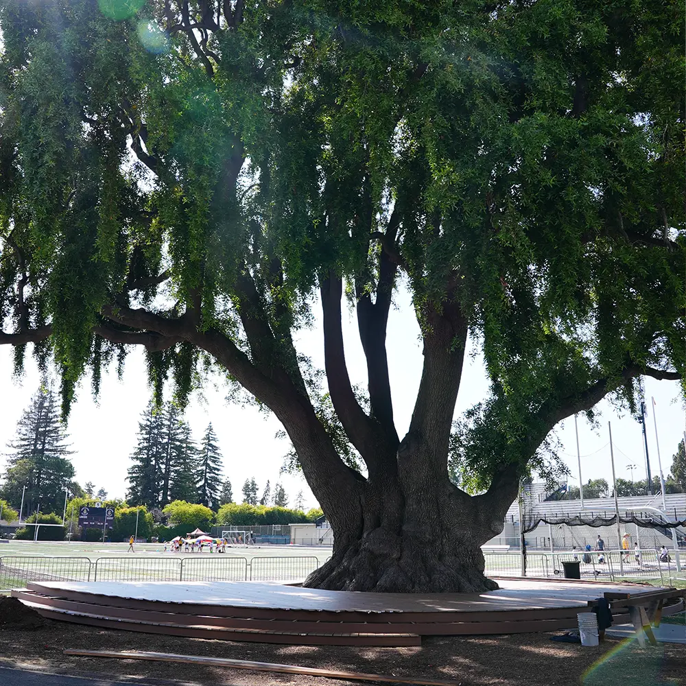  OptimizedImage,sustainability,,Optimized