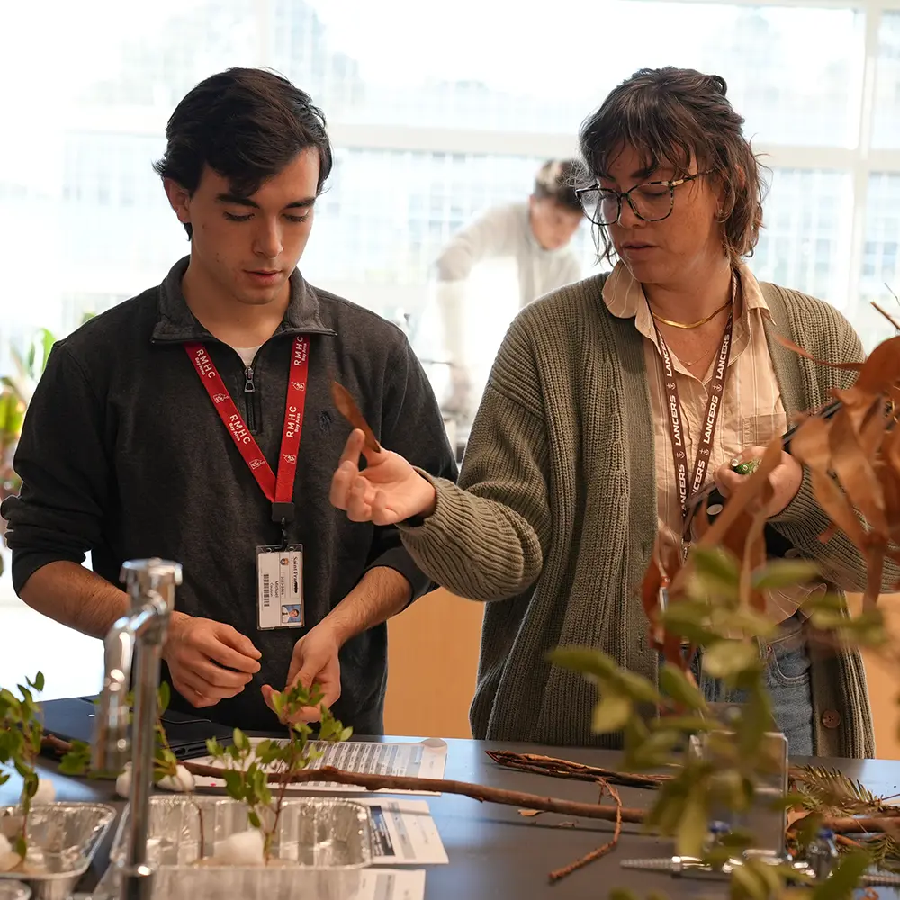 OptimizedImage,sustainability,,Optimized