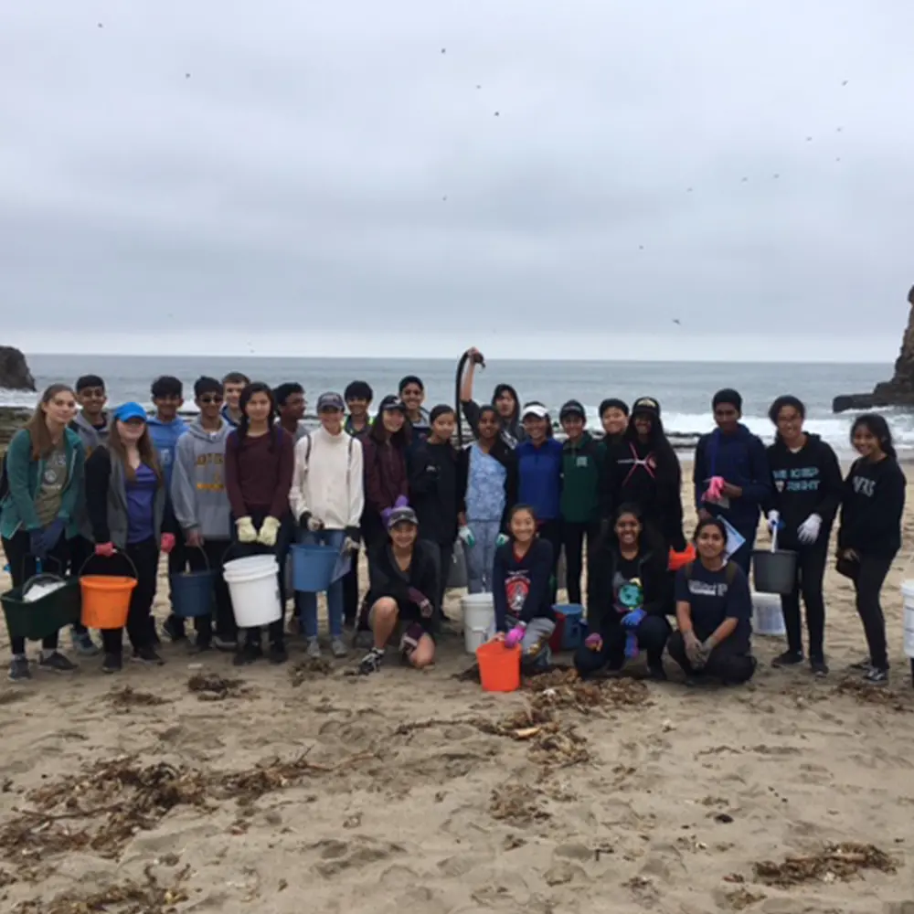  OptimizedImage,sustainability,,Optimized