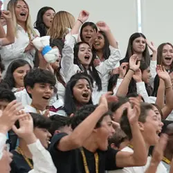  OptimizedImage,,,Optimized