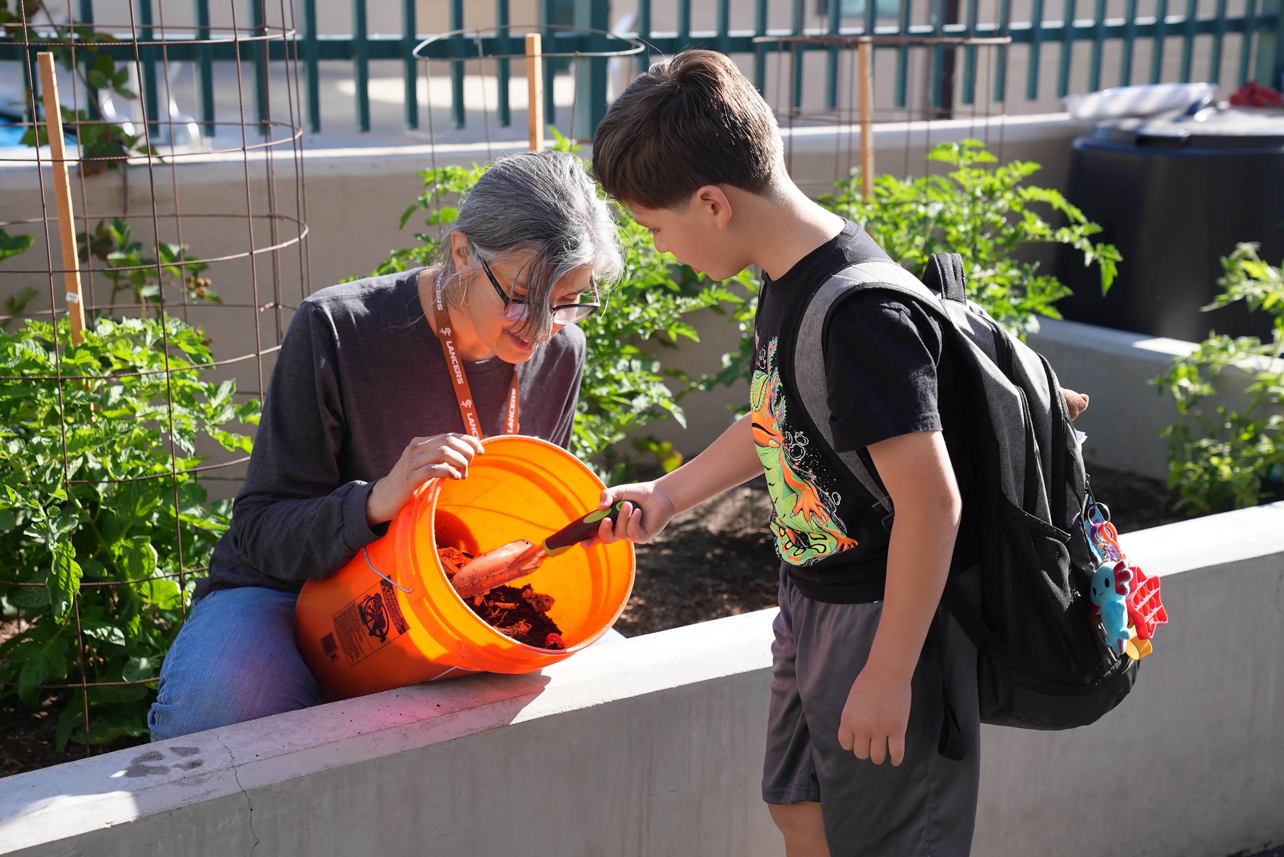  OptimizedImage,Summer,Ave Crux,,Optimized