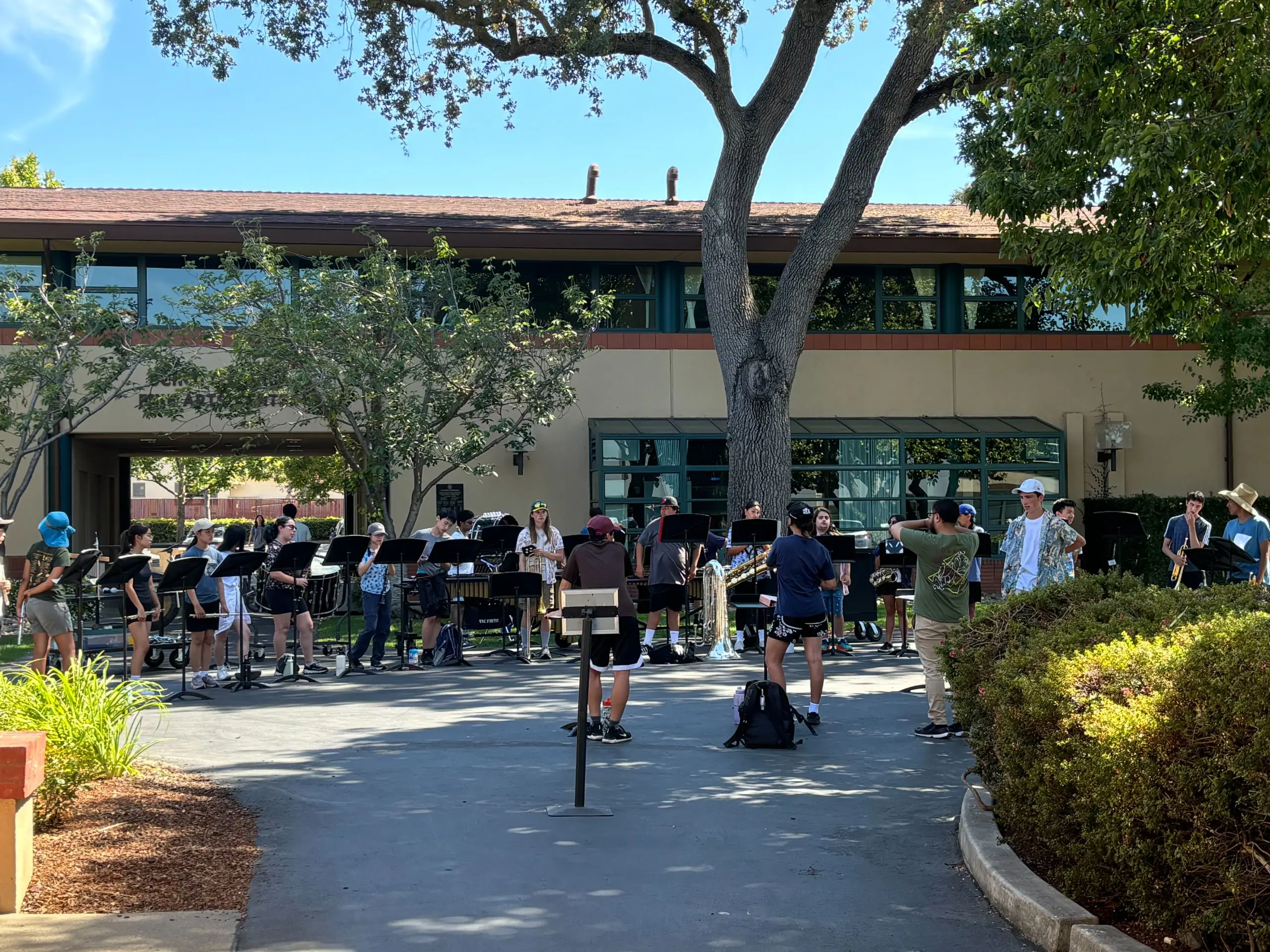  OptimizedImage,,,Optimized