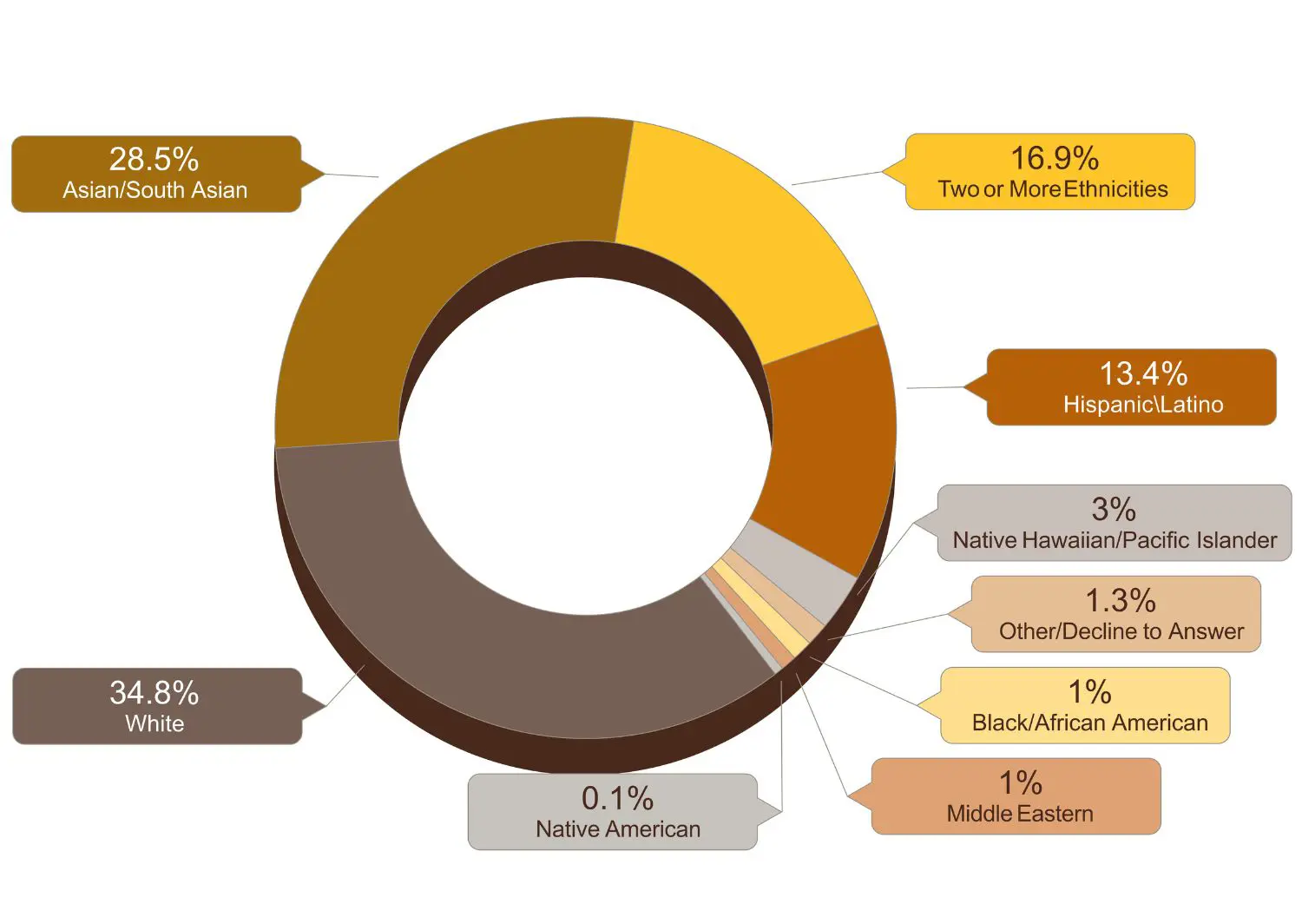 Pie chart of student ethnic diversity: 34.8% White, 28.5% Asian/South Asian, 16.9% Two or More Ethnicities, 13.4% Hispacin/Latino, 3% Native Hawaiian/PAcific Islander, 1.3% Other/Decline to Answer, 1% Black/African American, 1% Middle Eastern, 0.1% Native American