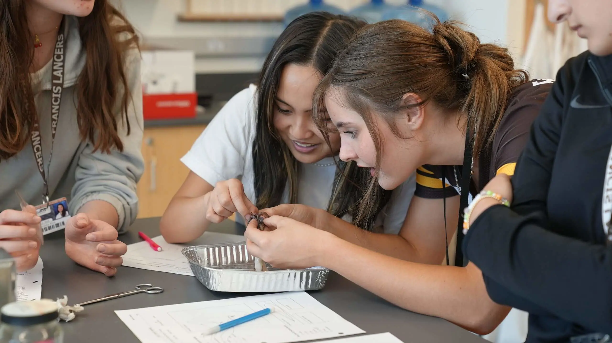 Two students dissecting a squid in a lab.